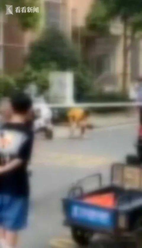 23岁女孩参与网红项目，坠海意外还是坠亡悲剧？