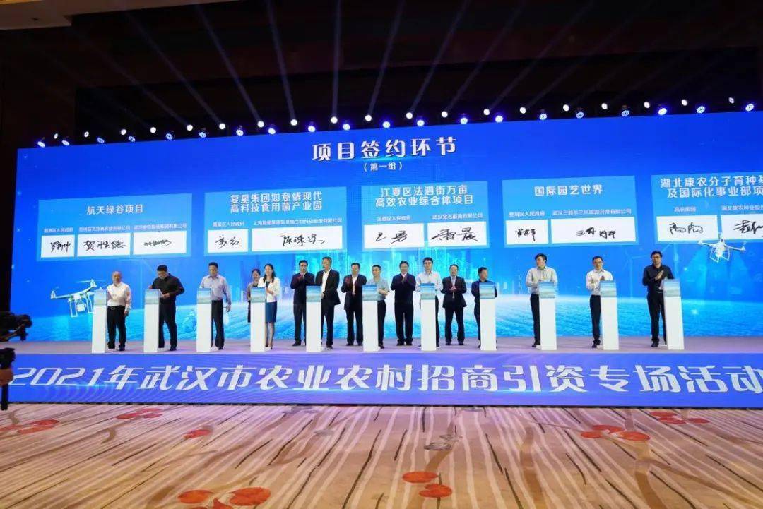 南京降噪网采购项目包含哪些重点内容？