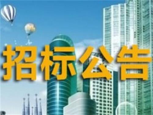 南京重大工程项目如何通过招标网站官网进行？