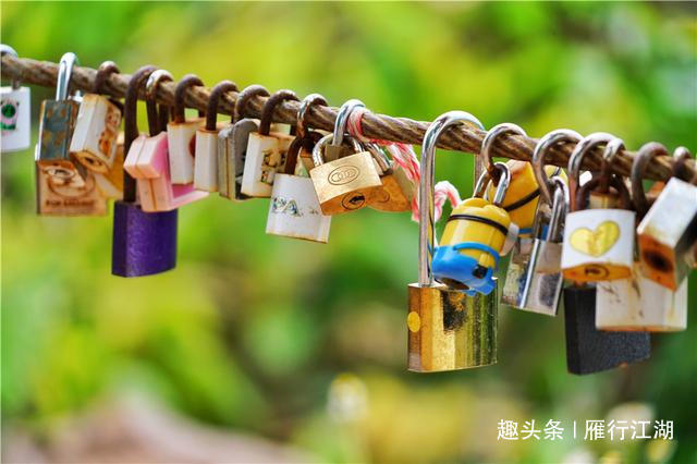 德清网红项目如何在全国公路项目招标信息网上招标？