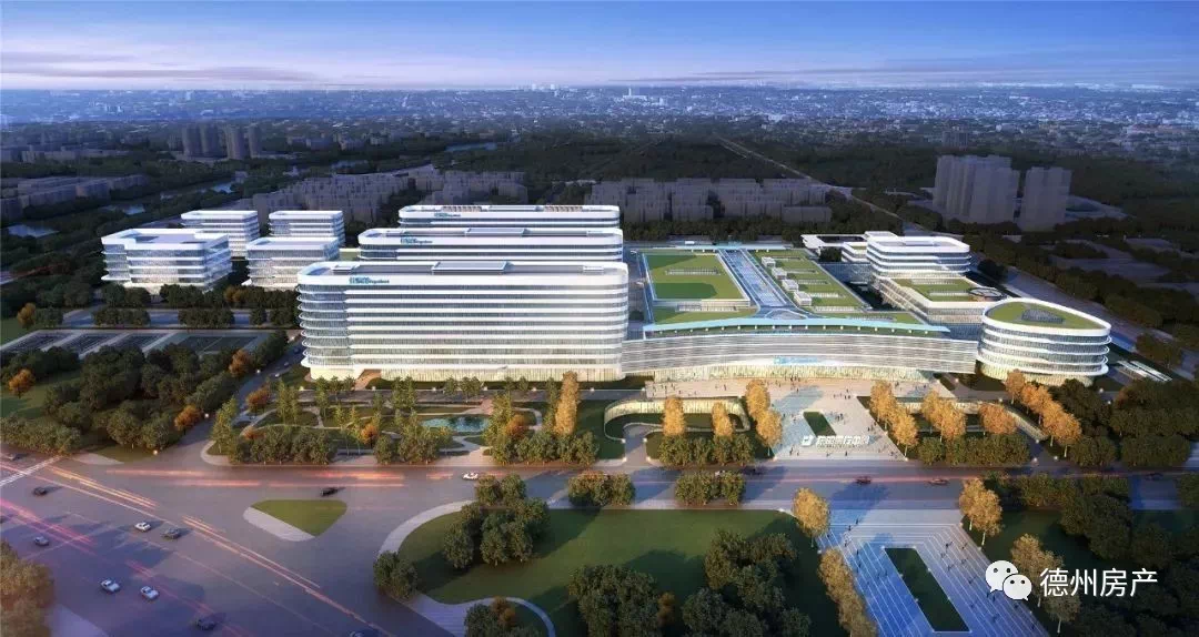 德州网巢乐园项目概况及进展如何？