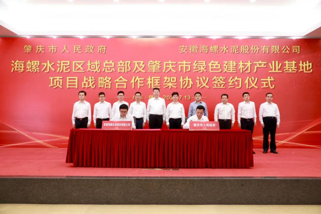 德庆海螺水泥项目如何通过官方招标网进行？