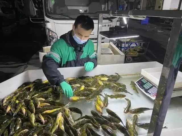 德阳博物馆招聘信息及项目进展如何？