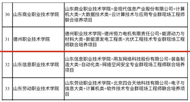 德州项目公示公告网如何处理未公示项目整改问题？