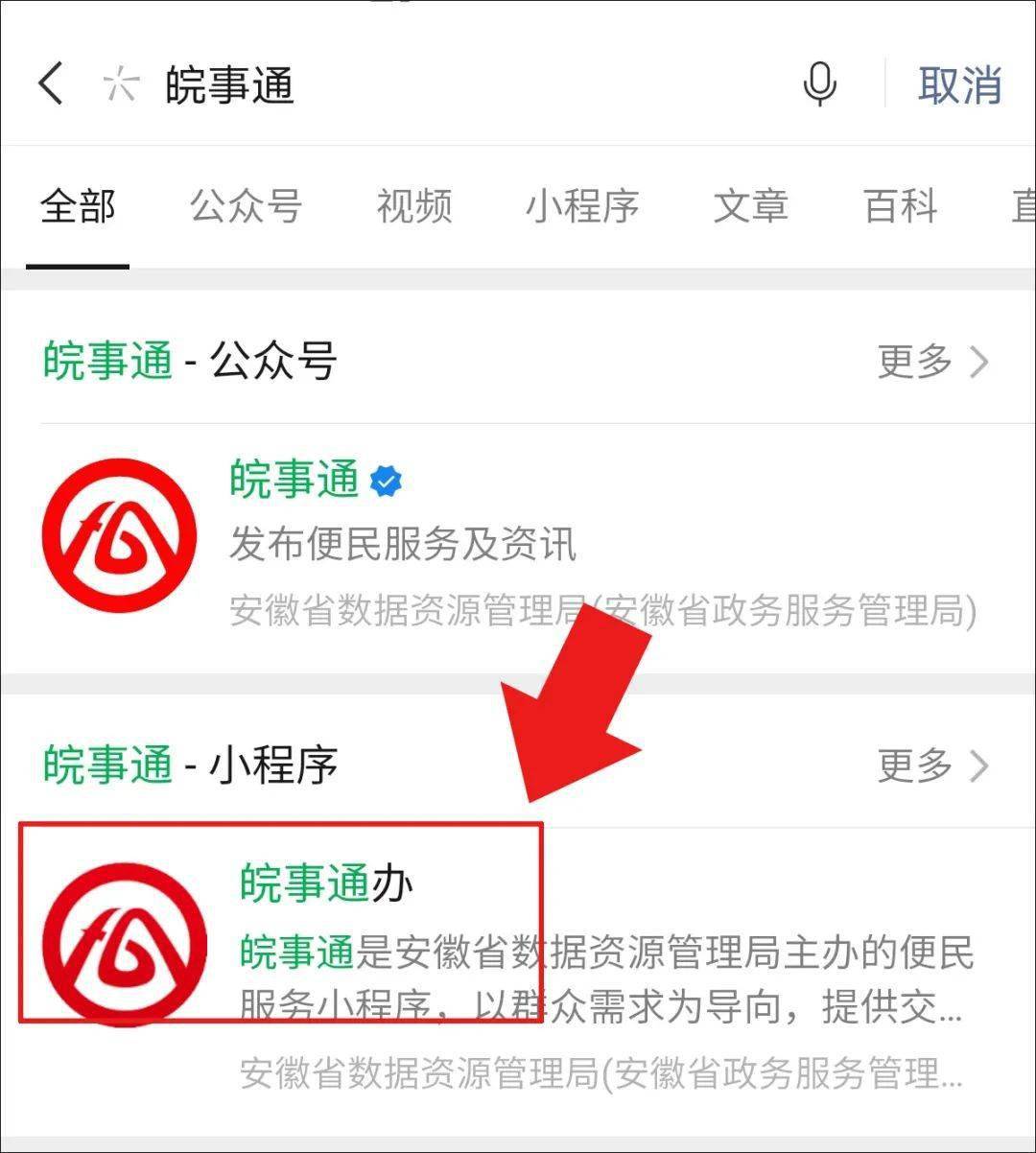 德州项目咨询招聘官网招聘信息如何获取？