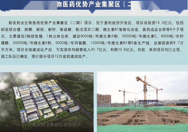德州经开区与吉林建设项目招标官网哪个更具优势？