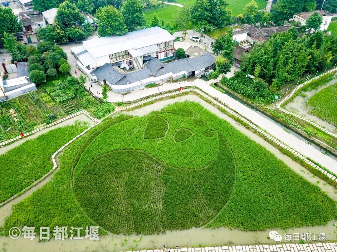 德江农网改造与陶缘农业旅游综合体项目进展如何？