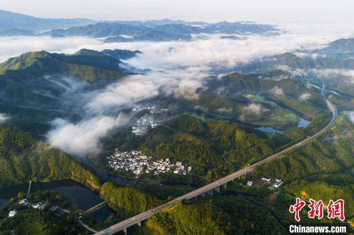 浮桥网红项目哪些企业主导，景区打卡热点有哪些？