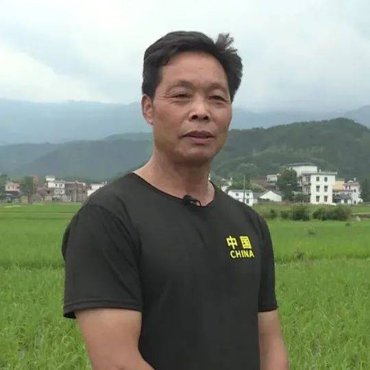 如何使用代刷超级围栏操作指南详解