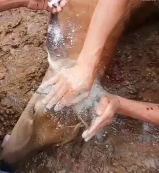 养鹿卖鹿茸现在还能赚钱吗