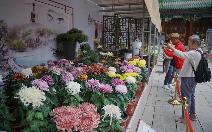 在北京开花店盈利前景如何