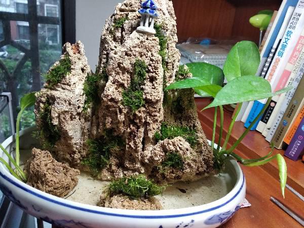 鱼缸假山摆件销售盈利如何现在市场依旧赚钱吗