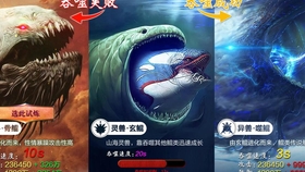 真正的养鲲游戏存在吗揭秘鲲赚钱游戏分红大全