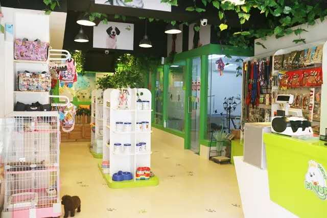 加盟宠物店真的能盈利吗如何挣钱