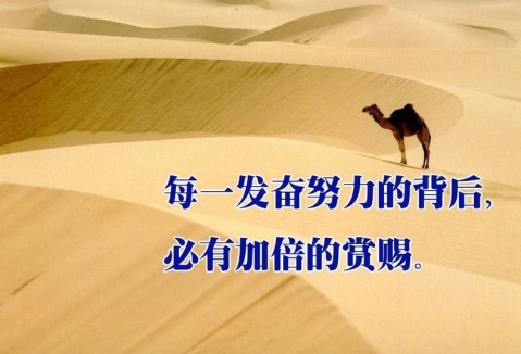 如何激发拼搏赚钱的精神一句励志名言道出真谛