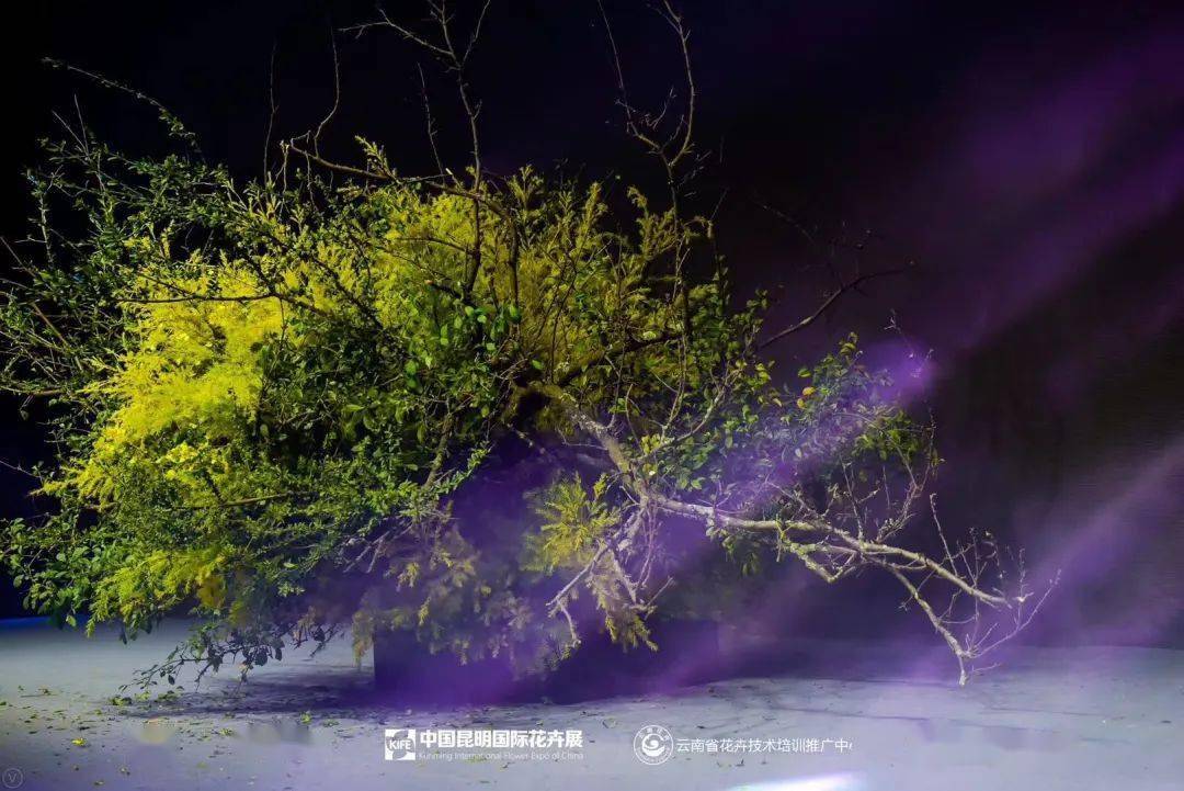 哪家企业荣登全球第二赚钱公司宝座