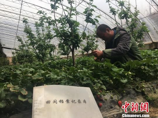 农牧业与畜牧业哪个更能盈利