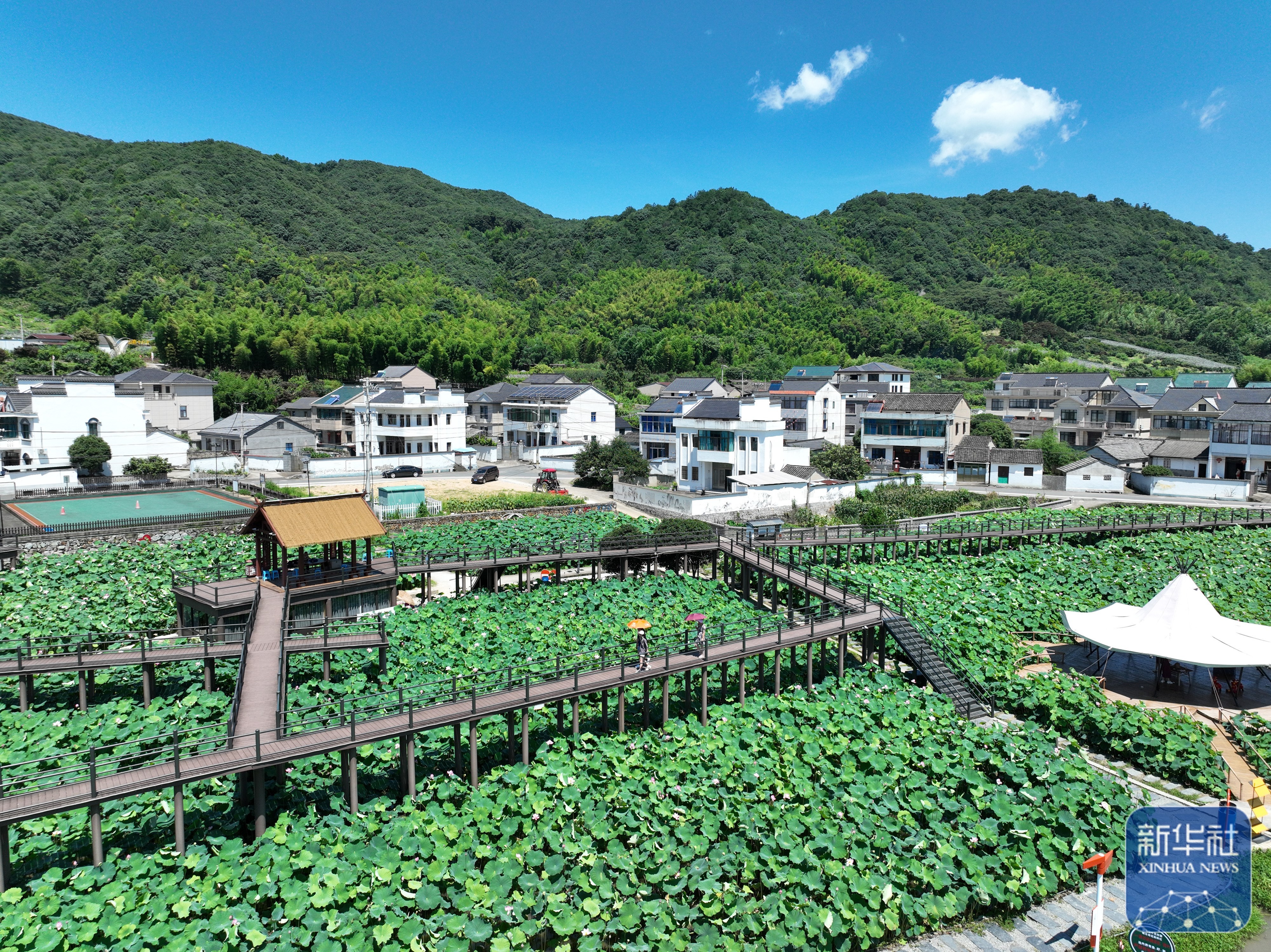 冬季北方农村如何创造收入揭秘乡村美景之外的商机