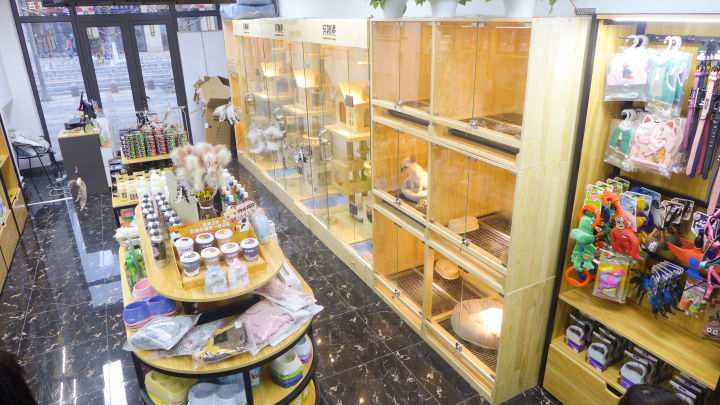 在宠物店工作能赚钱吗揭秘宠物店工作的真实体验