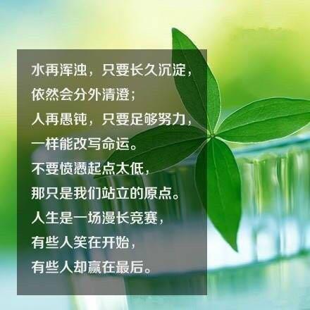 哪些日子是努力赚钱的好时光走心短句激励前行