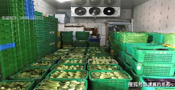 冷库储存水果蔬菜盈利空间有多大