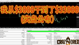 除了操盘手还有哪些赚钱高招