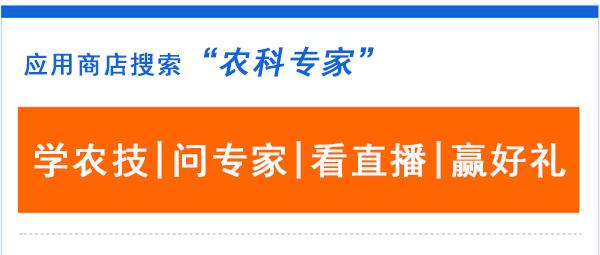 农民购树苗盈利几何是否涉及税务问题