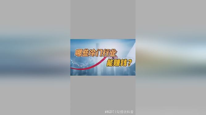 探索冷门网站盈利之路网上偏门行业真的赚钱吗