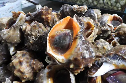 冷冻海鲜销售盈利空间有多大