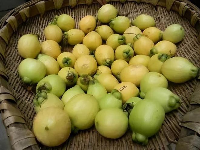 哪些水果种植能让农民获利探究高效益水果选择
