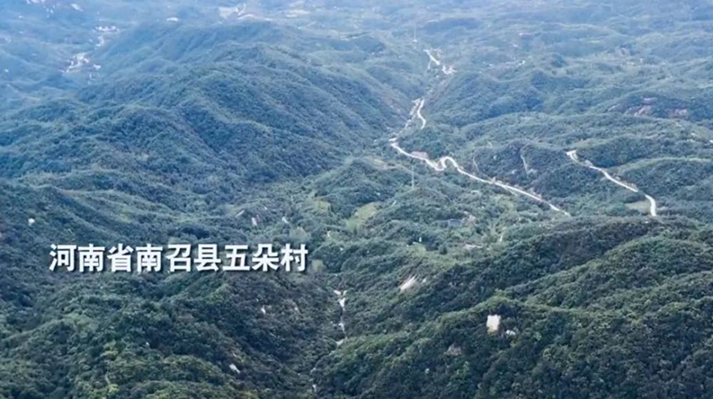 大山里哪些商品最畅销如何深山创业迅速致富