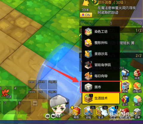 如何在冒险岛高效赚钱探索挣钱攻略技巧