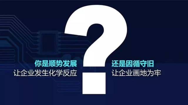 出品人如何赚钱这是盈利真相吗