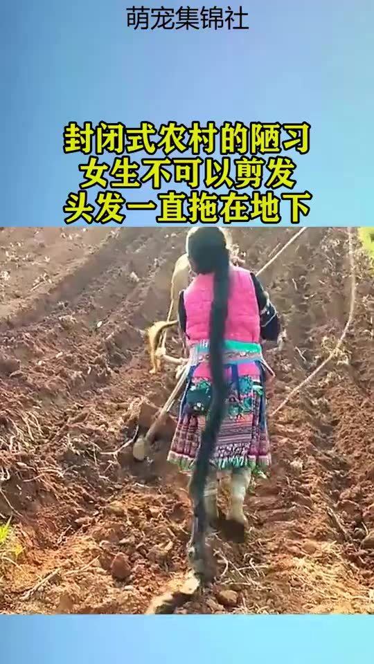 女生在农村剪发能否赚钱