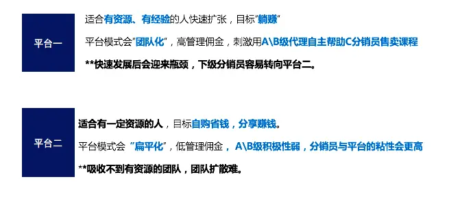 分销真的能盈利吗探秘赚钱之道
