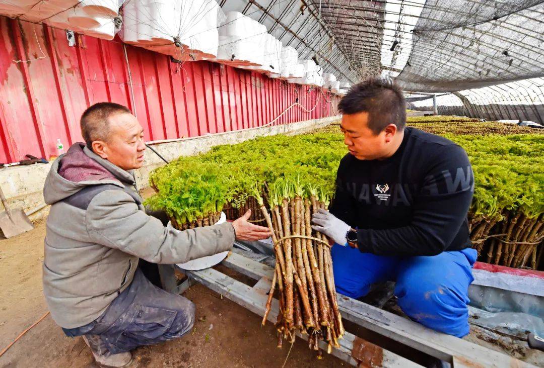 冬天农村如何创造收入揭秘农闲时节赚钱之道