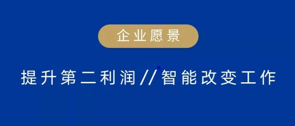 哪些养鸡方法赚钱快探索最新高效盈利技巧