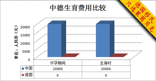 德国赚钱能否国内使用跨境工作收入适用性解析
