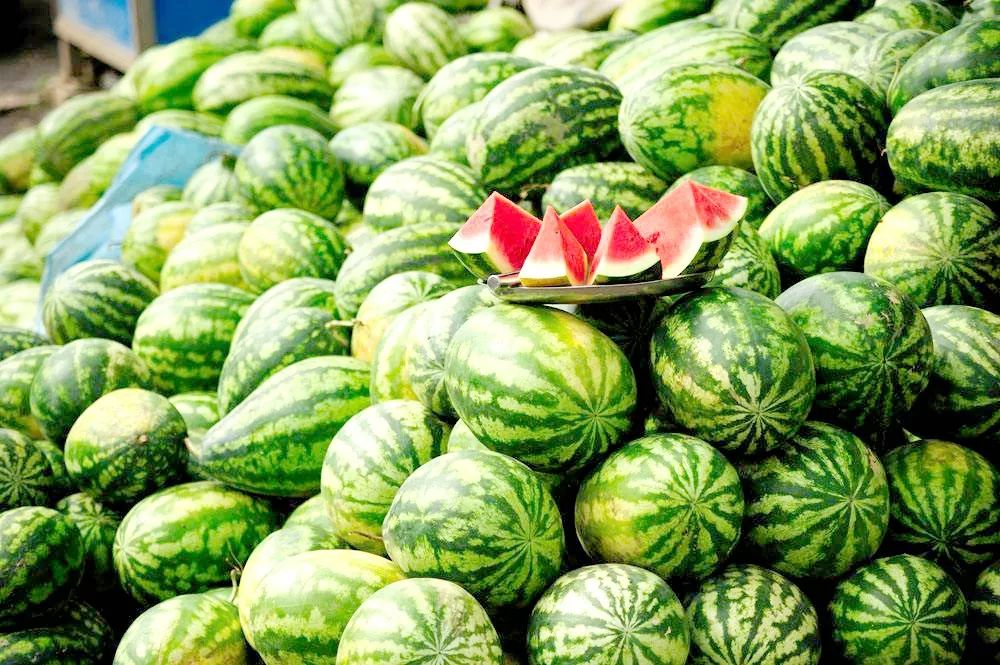 嘉兴西瓜批发真能赚钱吗产地究竟在何方
