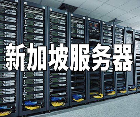 哪个服务器是国际服中赚钱的最佳选择