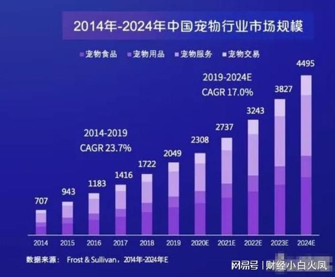 哪些城市宠物经济最繁荣全国宠物养殖盈利排行榜揭秘