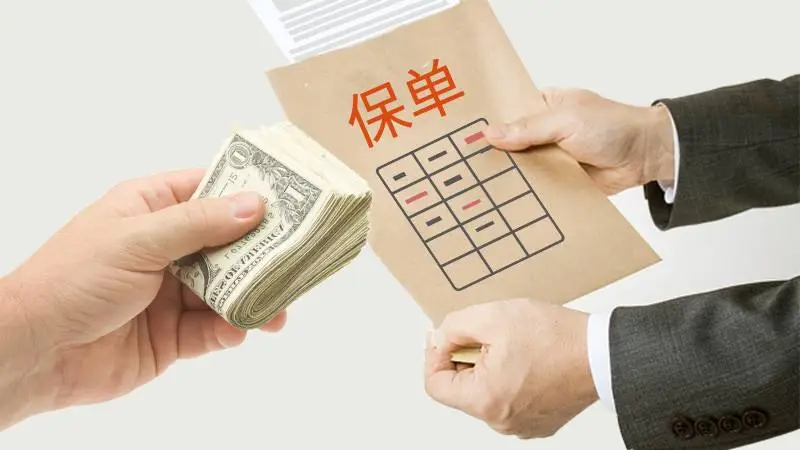 哪家保险公司盈利高选哪个买保险更划算