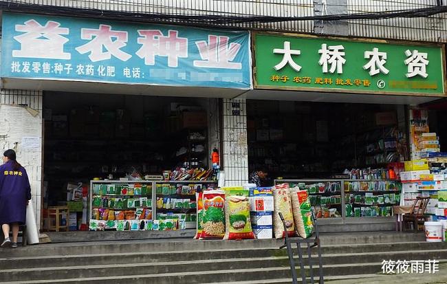 在乡村开超市盈利如何村子里开店前景探讨
