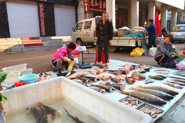 哈尔滨早市卖鱼盈利情况如何