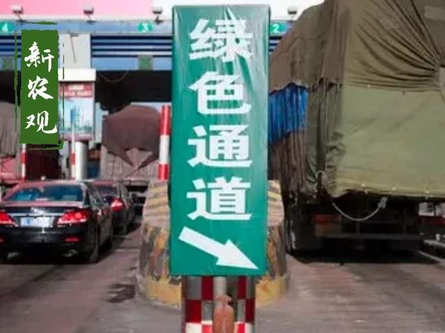 哪些农产品值得囤积赚钱速度最快