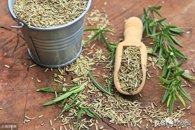 哪些作物种植能高效盈利地面种植赚钱项目盘点