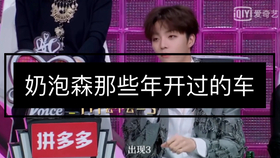 土味偶像如何手打赚钱巨星之路在何方