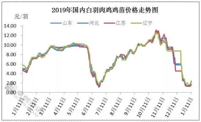 土鸡养殖利润有多少成本与收益分析解读