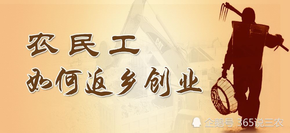 回乡创业赚钱与艳遇哪个更精彩