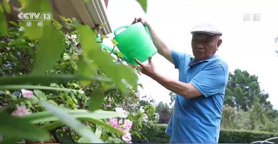 哪些本地作物种植最赚钱女生关注焦点揭秘